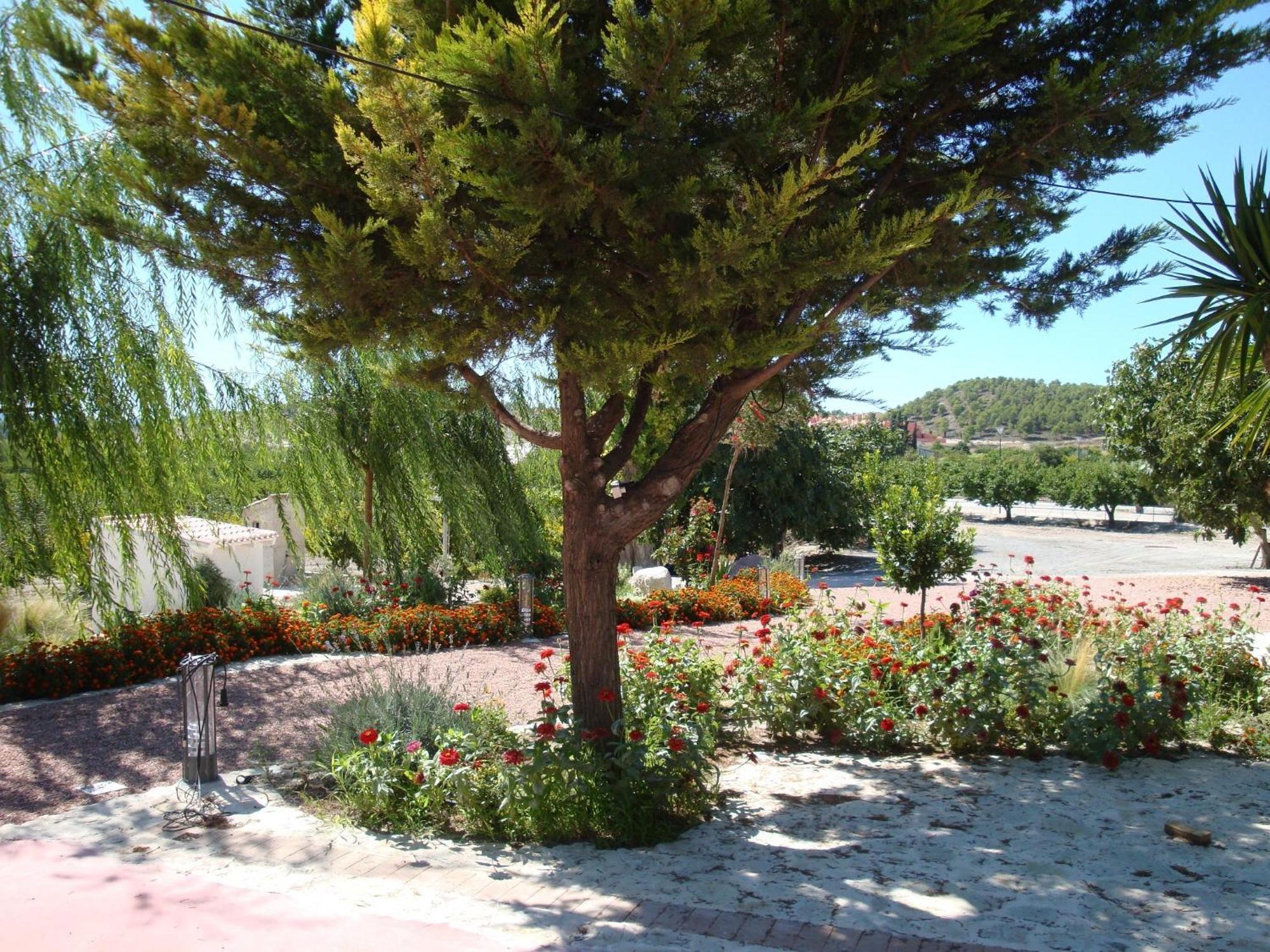 Jardines De Casablanca Pensión